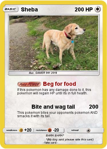 Pokemon Sheba