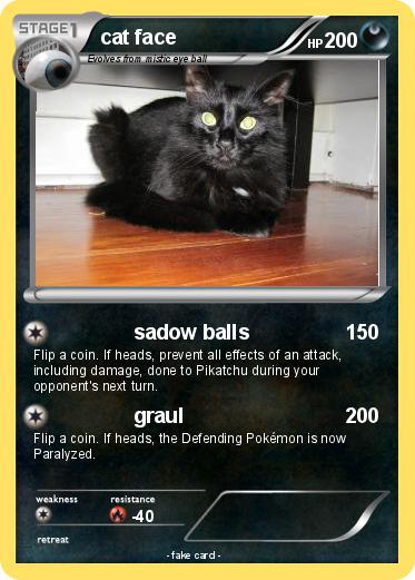 Pokemon cat face