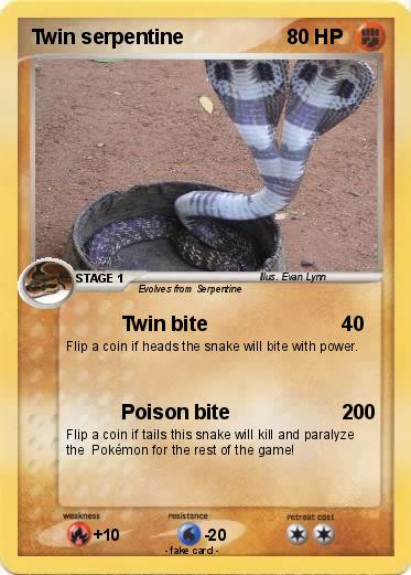 Pokemon Twin serpentine