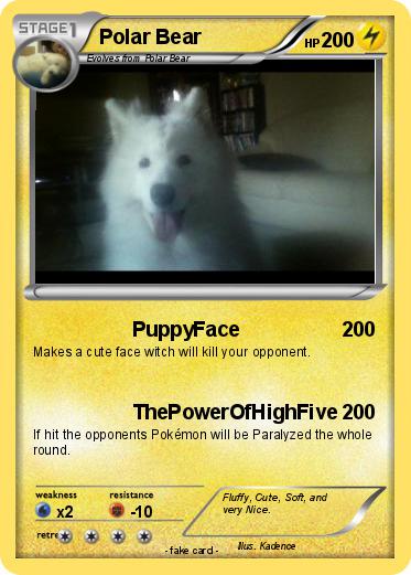 Pokemon Polar Bear