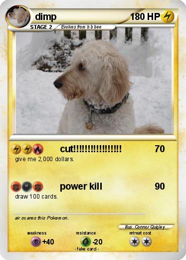 Pokemon dimp