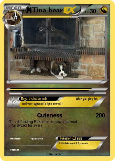 Pokemon Tina bear