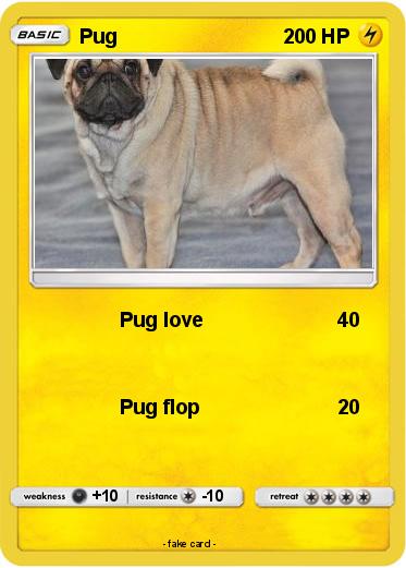 Pokemon Pug