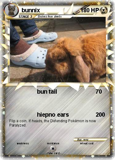Pokemon bunnix