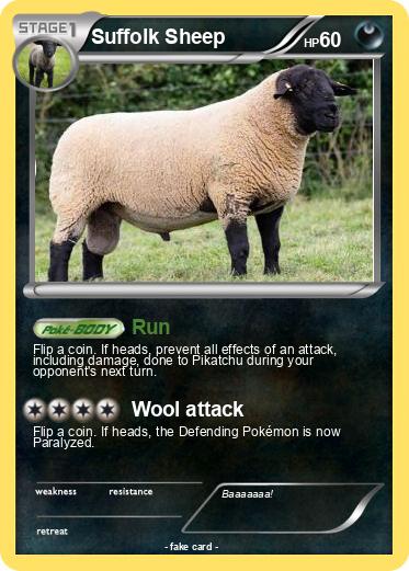 Pokemon Suffolk Sheep