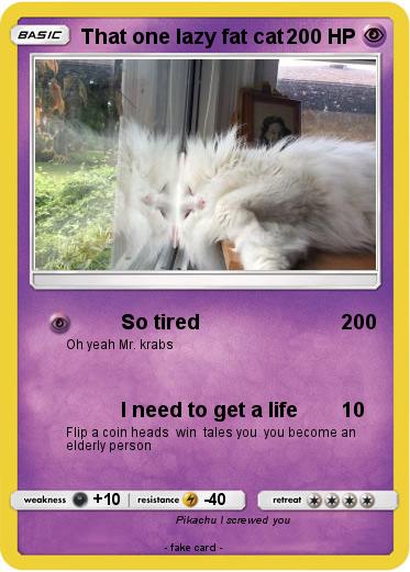 Pokemon That one lazy fat cat