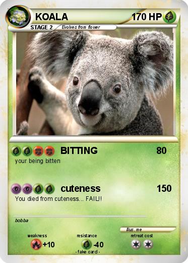 Pokemon KOALA