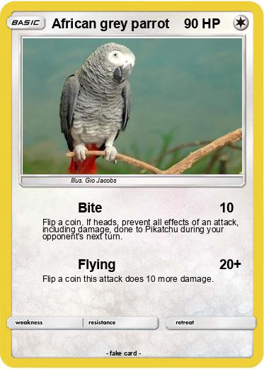 Pokemon African grey parrot