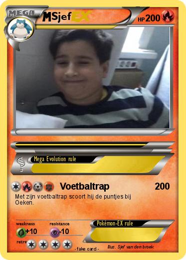 Pokemon Sjef