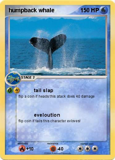 Pokemon humpback whale