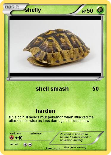 Pokemon shelly