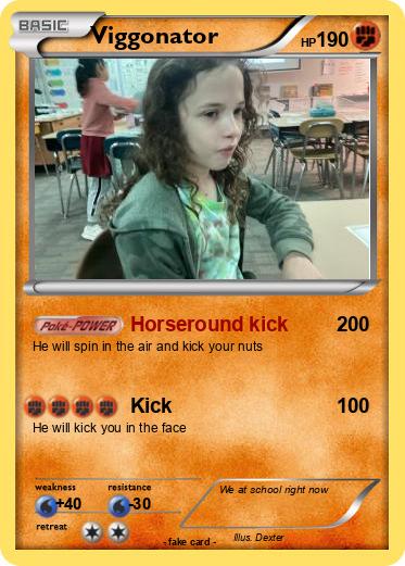 Pokemon Viggonator