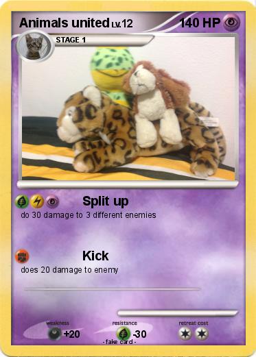 Pokemon Animals united