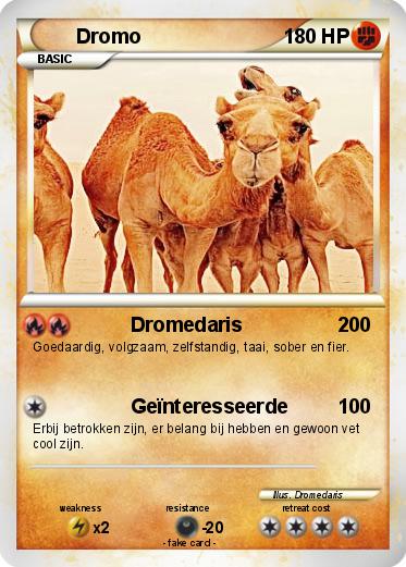 Pokemon Dromo