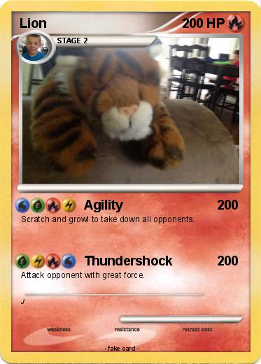 Pokemon Lion