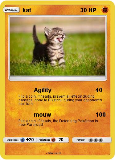 Pokemon kat