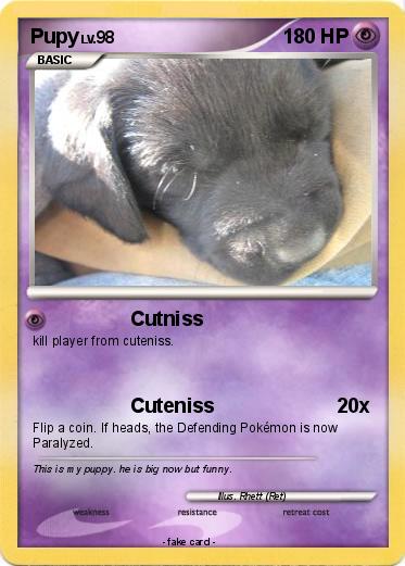 Pokemon Pupy