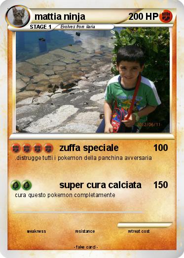 Pokemon mattia ninja
