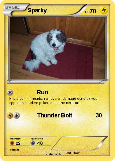 Pokemon Sparky