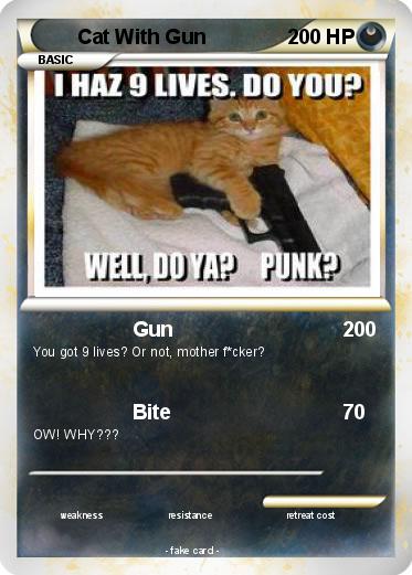 Pokemon Cat With Gun