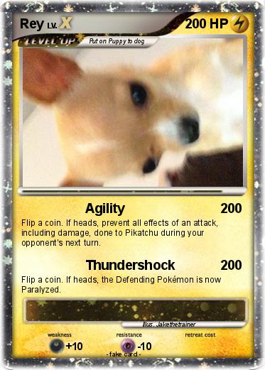 Pokemon Rey
