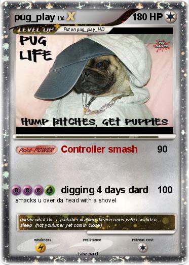 Pokemon pug_play