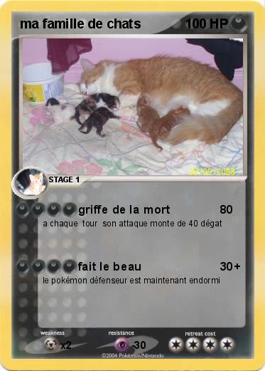 Pokemon ma famille de chats