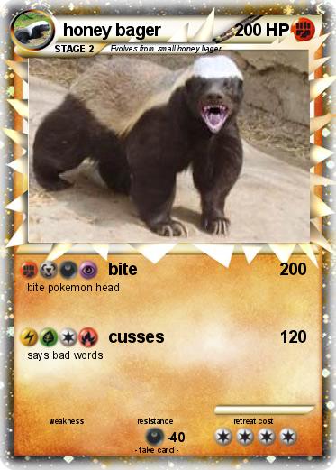 Pokemon honey bager