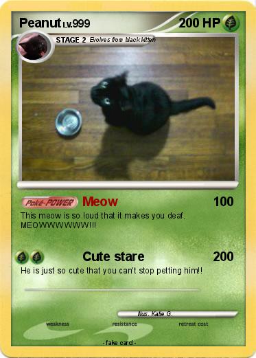 Pokemon Peanut