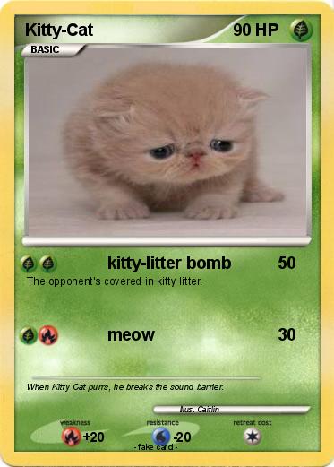 Pokemon Kitty-Cat