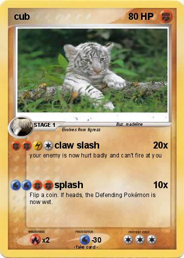 Pokemon cub