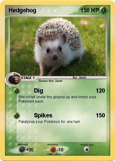Pokemon Hedgehog