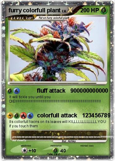 Pokemon furry colorfull plant