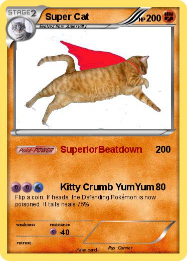 Pokemon Super Cat