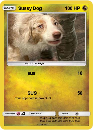 Pokemon Sussy Dog