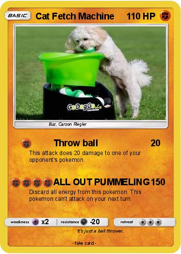 Pokemon Cat Fetch Machine