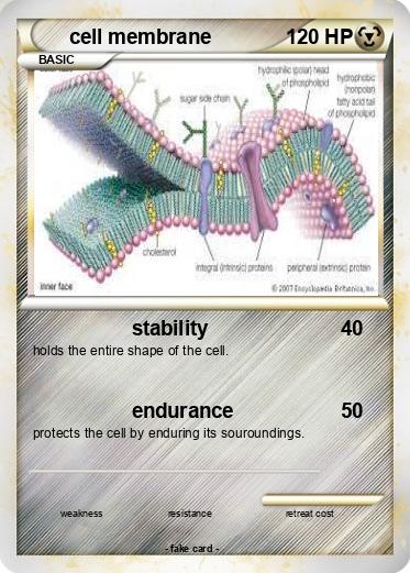 Pokemon cell membrane