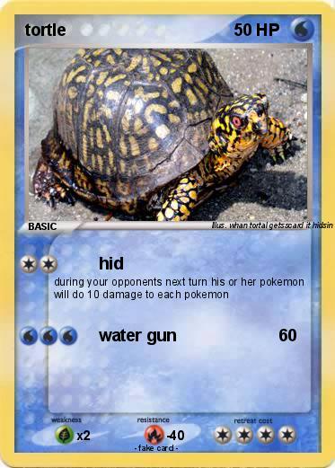 Pokemon tortle