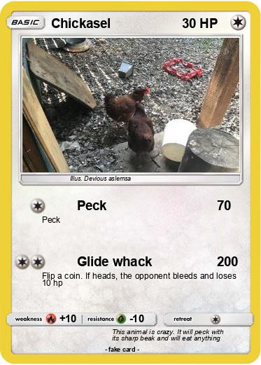 Pokemon Chickasel