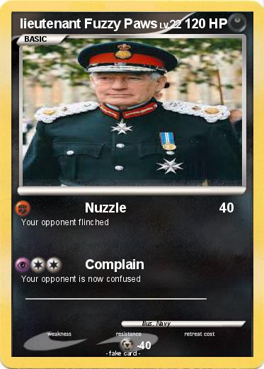 Pokemon lieutenant Fuzzy Paws