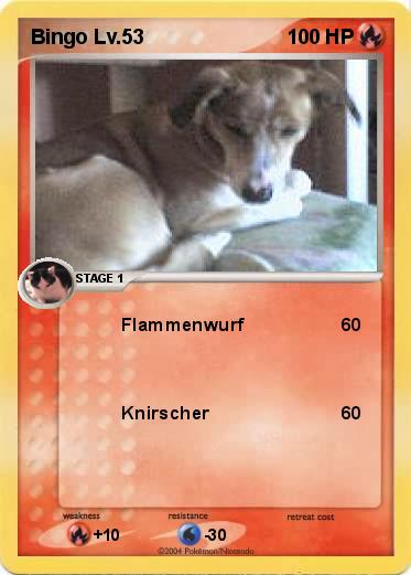Pokemon Bingo Lv.53