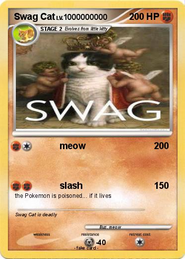 Pokemon Swag Cat