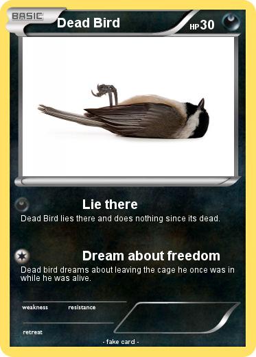Pokemon Dead Bird
