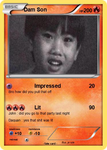 Pokemon Dam Son