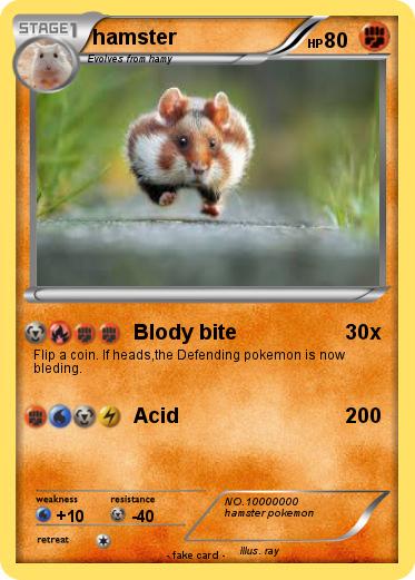 Pokemon hamster