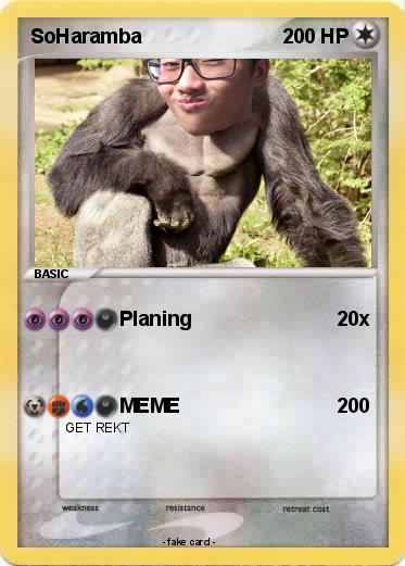 Pokemon SoHaramba
