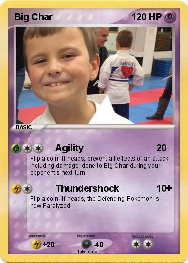 Pokemon Big Char
