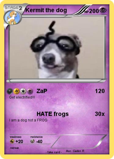 Pokemon Kermit the dog