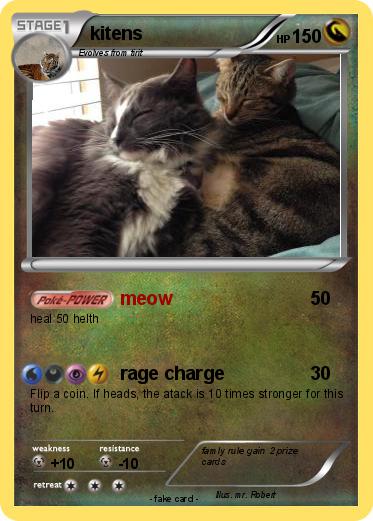 Pokemon kitens