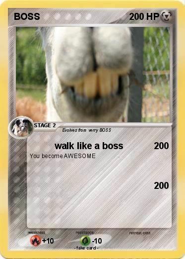 Pokemon BOSS
